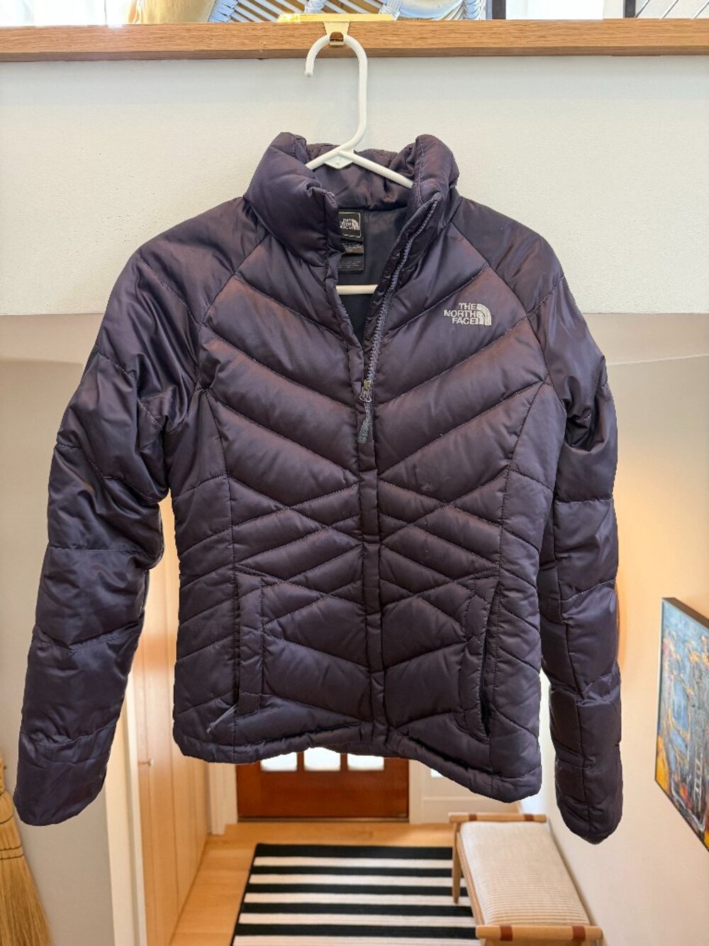 The North Face Women's Aconcagua 550 Goose Down Puffer in Plum